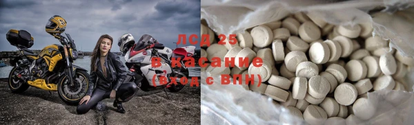 ГАЛЛЮЦИНОГЕННЫЕ ГРИБЫ Алексеевка