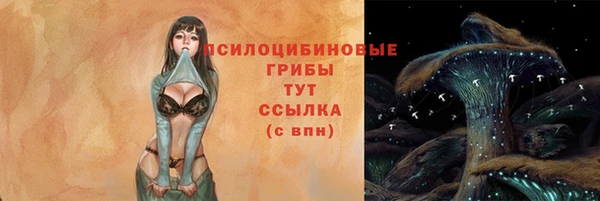 дмт Пересвет