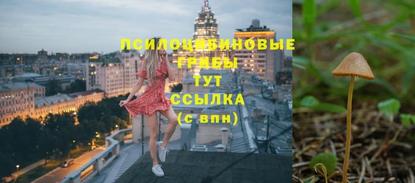 гидра Абдулино