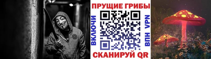 Галлюциногенные грибы Magic Shrooms  kraken ТОР  Нелидово 